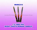 Roman Candle 1