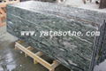 Granite countertop 1