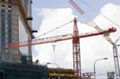 Tower crane, Crawler crane