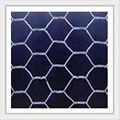 heagonal wire mesh