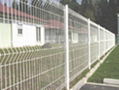 Chain Link Fence 1