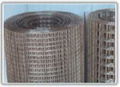 Welded Wire Mesh 1