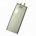 Large capacity lithium polymer battery