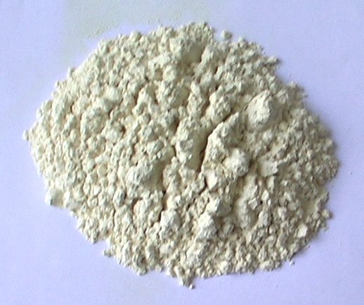   Rice Protein Powder (Grade A)