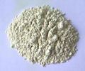   Rice Protein Powder (Grade A) 1
