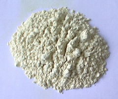   Rice Protein Powder (Grade A)