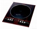 INDUCTION COOKER