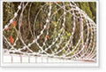 Razor Barbed Wire Mesh 1