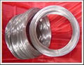 Galvanized Iron Wire