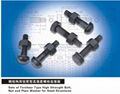 Torshear Type High Strength Bolts