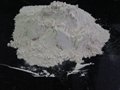 Caustic Calcined Magnesite 1