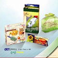 PP/PVC/PET plastic gift boxes/gift packaging  3