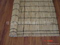 reed screen 2