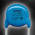 Safety Standard Recognized Ceramic Disc Capacitor