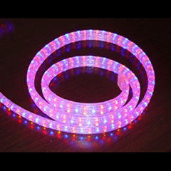 LED rope light