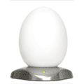 LED color changing egg 1