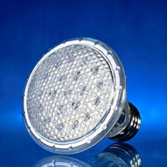 LED PAR30 lamp