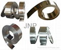 Stainless steel strip