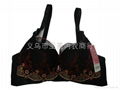 lace bra,ladies bra 1