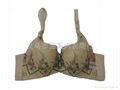 lace bra,ladies bra 2