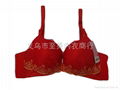 lace bra,ladies bra 3