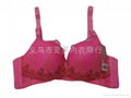 lace bra,ladies bra 4