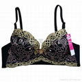 lace bra,fashion bra,Bcup bra,