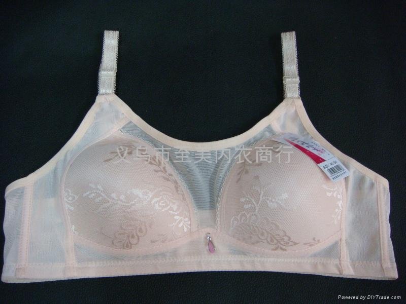 embroidered lace bra set 2