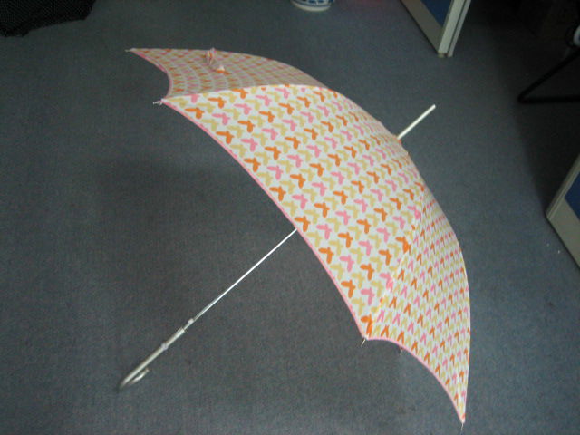 straight umbrella 2