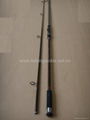 Carp Fishing Rod