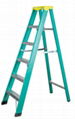 FRP ladder
