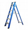 FRP ladder