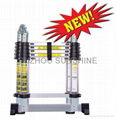 Telescopic ladder 1