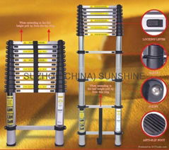 Telesopic ladder