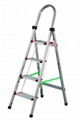 Stainless Steel Ladder