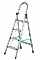 Stainless Steel Ladder