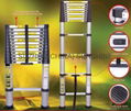 Telescopic ladder 1