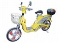 Electric bicycle 1