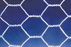 Hexagonal wire netting