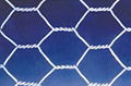 Hexagonal wire netting 1