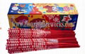 Export quality fireworks with best price