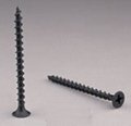 Drywall screw