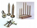 Chipboard screw