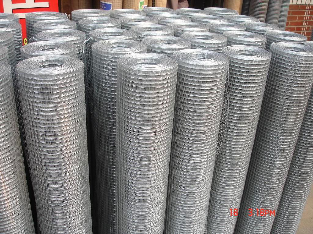 welded wire mesh