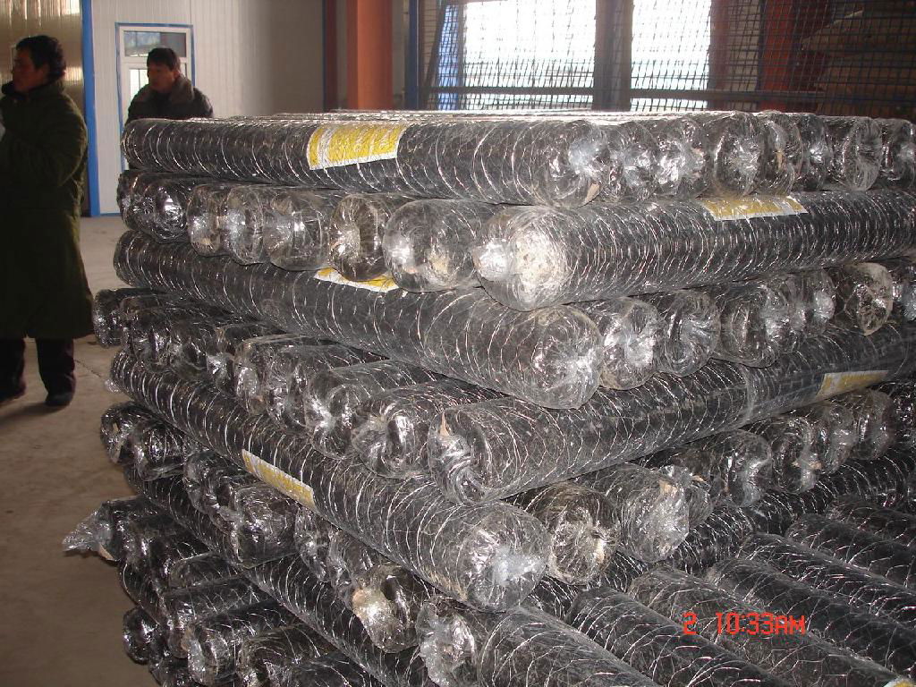 hexagonal wire mesh