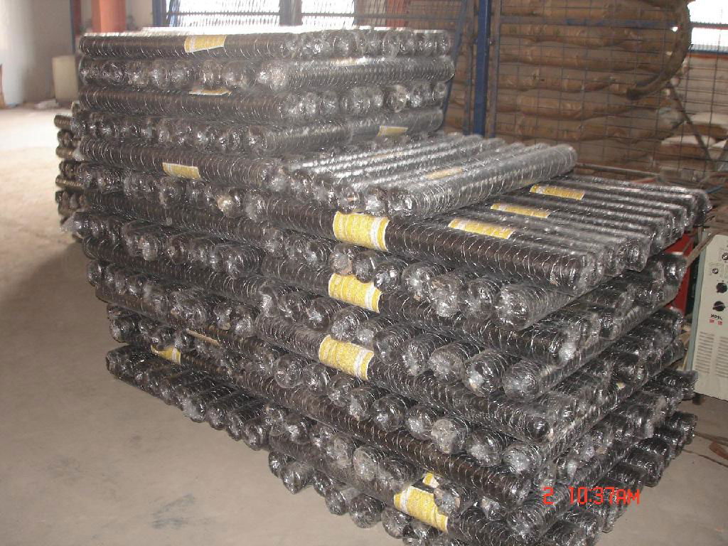 hexagonal wire mesh 3