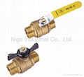 2 piece Forged Brass Ball Valves