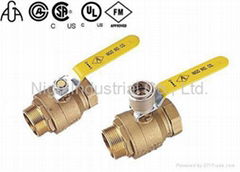 2 piece Forged Brass Ball Valves