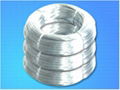 Galvanized Iron Wire