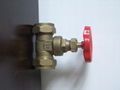 BZ valve